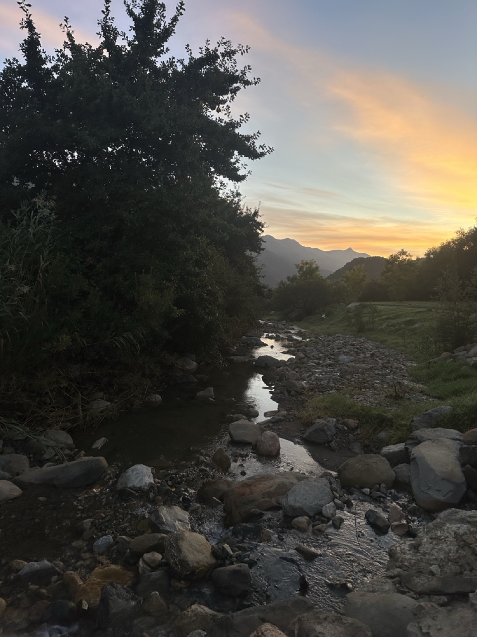 Beyond Buds Gallery Photo 1