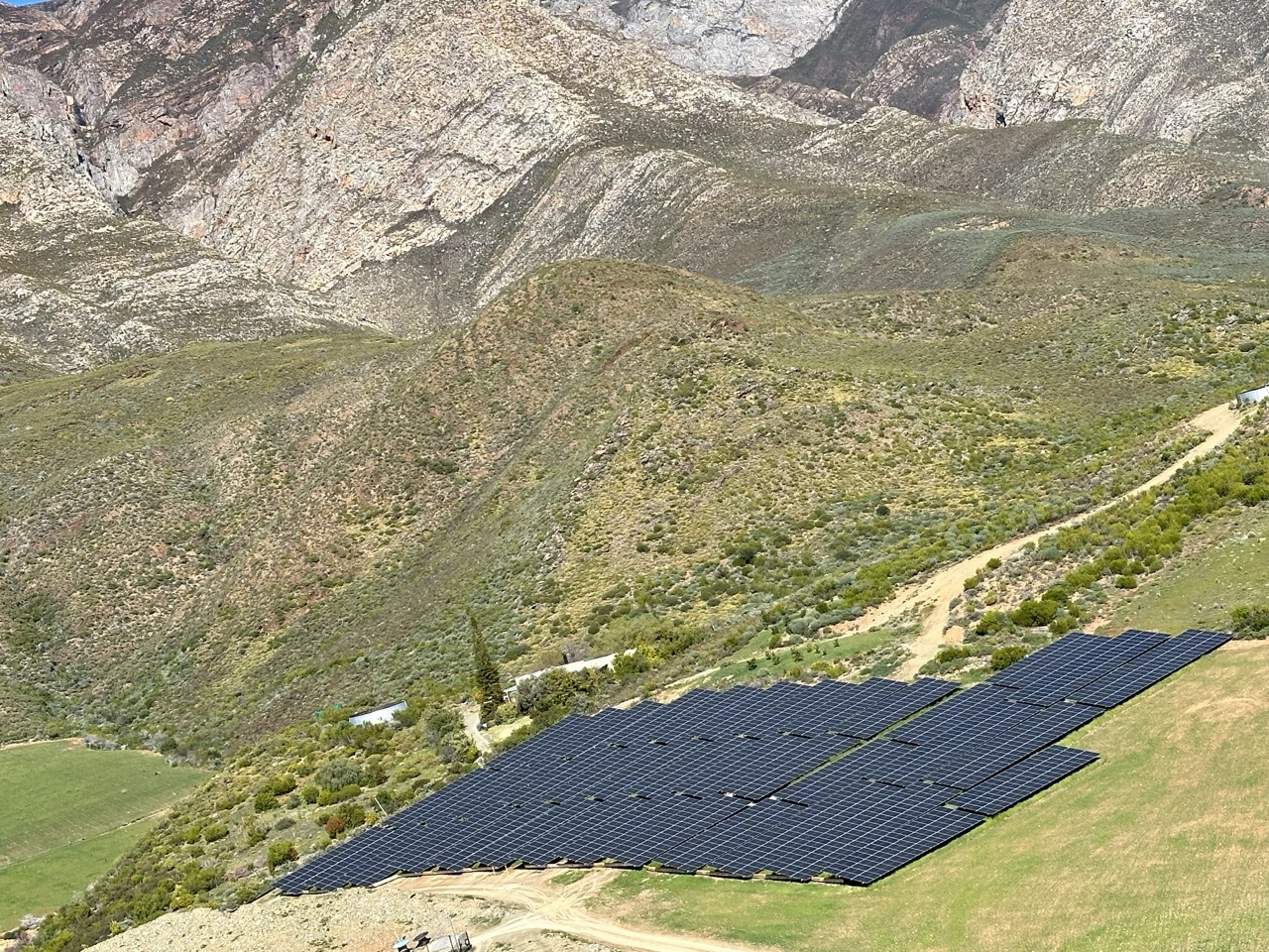 Beyond Buds Gallery Photo 12