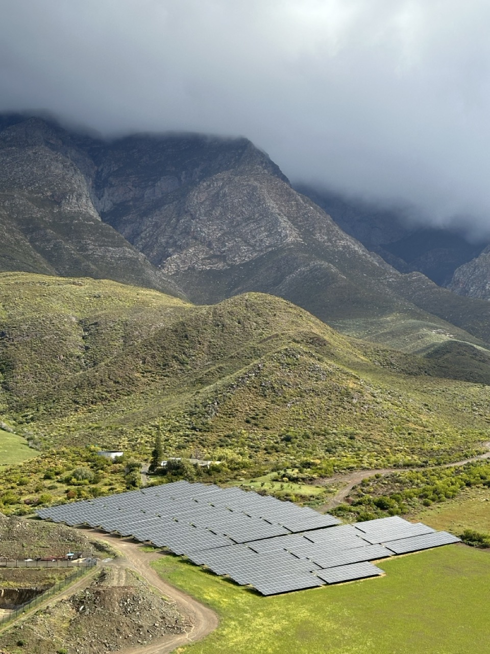 Beyond Buds Gallery Photo 13