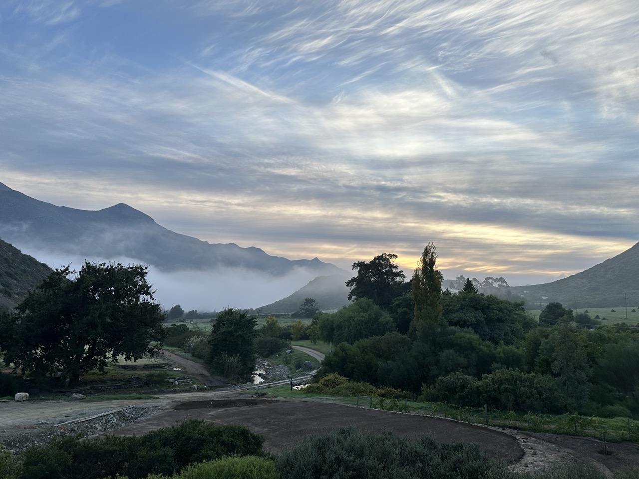 Beyond Buds Gallery Photo 2