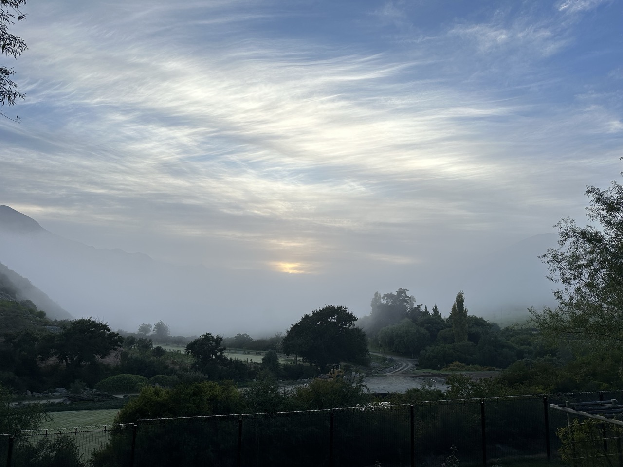 Beyond Buds Gallery Photo 3