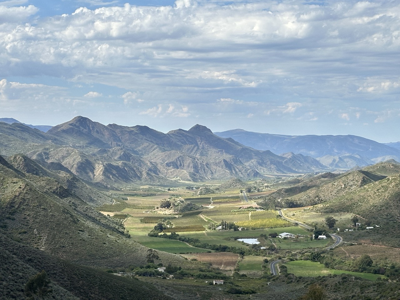 Beyond Buds Gallery Photo 4