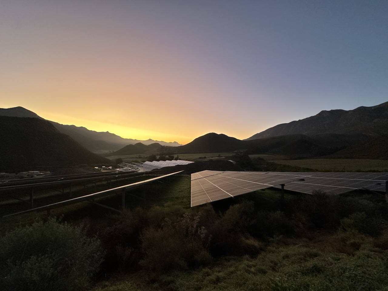 Beyond Buds Gallery Photo 5