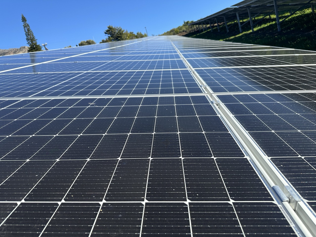 Beyond Buds Gallery Photo 6