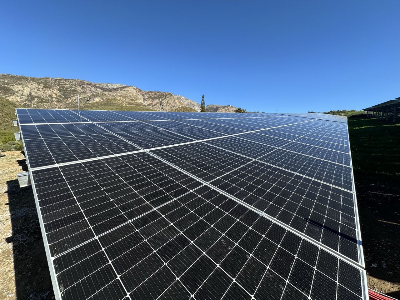 Beyond Buds Gallery Photo 7