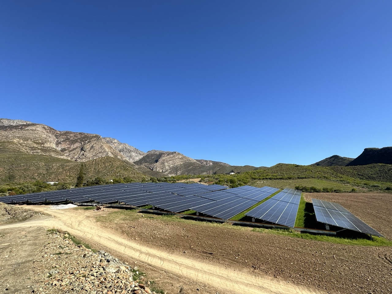 Beyond Buds Gallery Photo 8