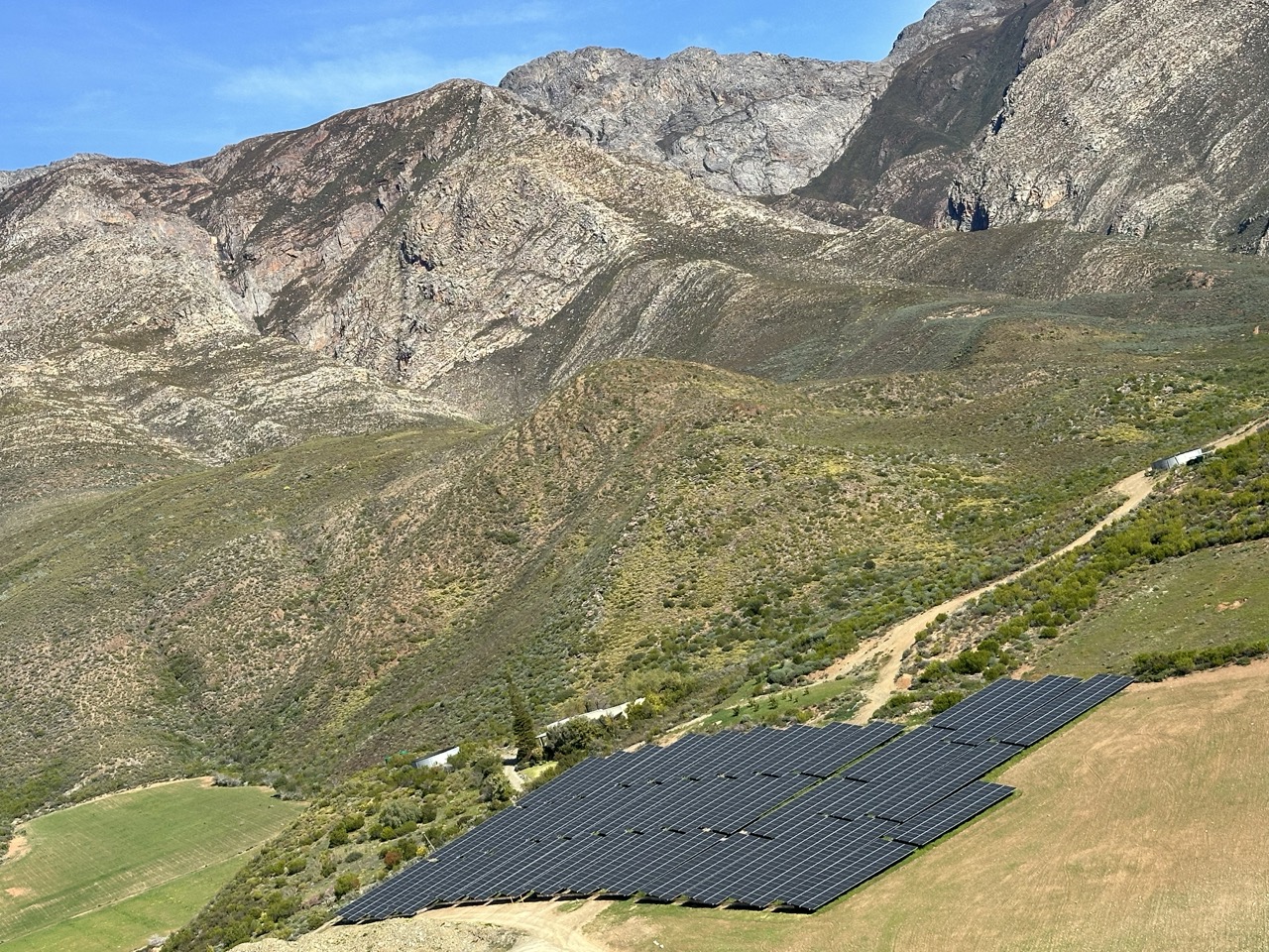 Beyond Buds Gallery Photo 9