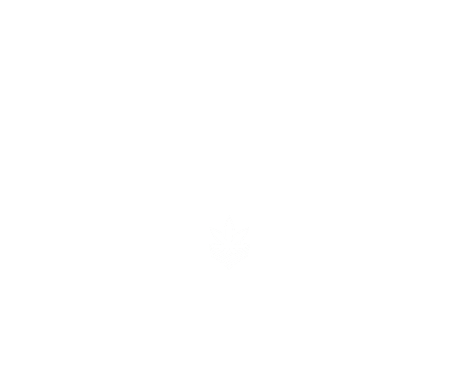 Beyond Buds Venn Mobile